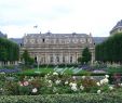 Le Jardin Des Plantes toulouse Best Of About Paris