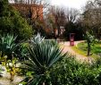 Le Jardin Des Plantes toulouse Élégant Museum Of Natural History toulouse 2020 All You Need to