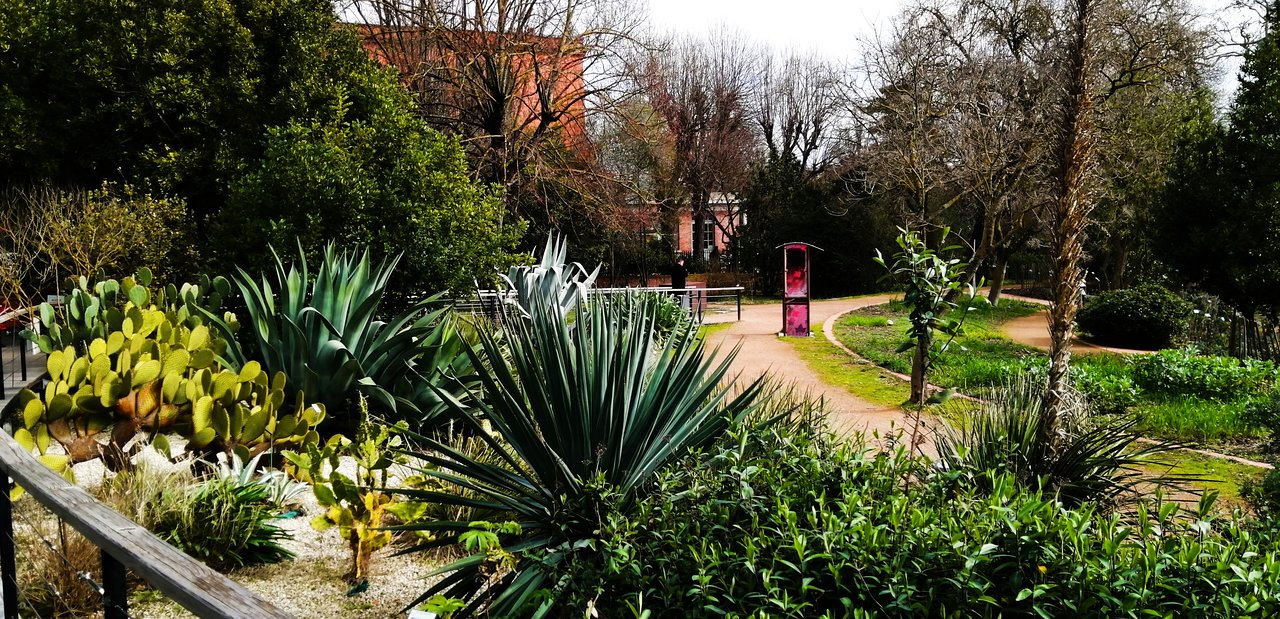 o jardim botanico