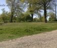 Le Jardin Des Plantes toulouse Élégant Thé¢tre D Entreprise toulouse