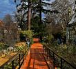 Le Jardin Des Plantes toulouse Génial Museum Of Natural History toulouse 2020 All You Need to