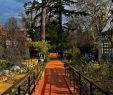 Le Jardin Des Plantes toulouse Génial Museum Of Natural History toulouse 2020 All You Need to