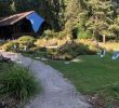 Le Jardin Des Plantes Voglans Charmant Jardin Botanique Alpin De Meyrin 2020 All You Need to Know