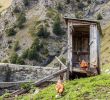 Le Jardin Des Plantes Voglans Frais File Boerderij Arpisson 2327m Boven Gimillan In Cogne