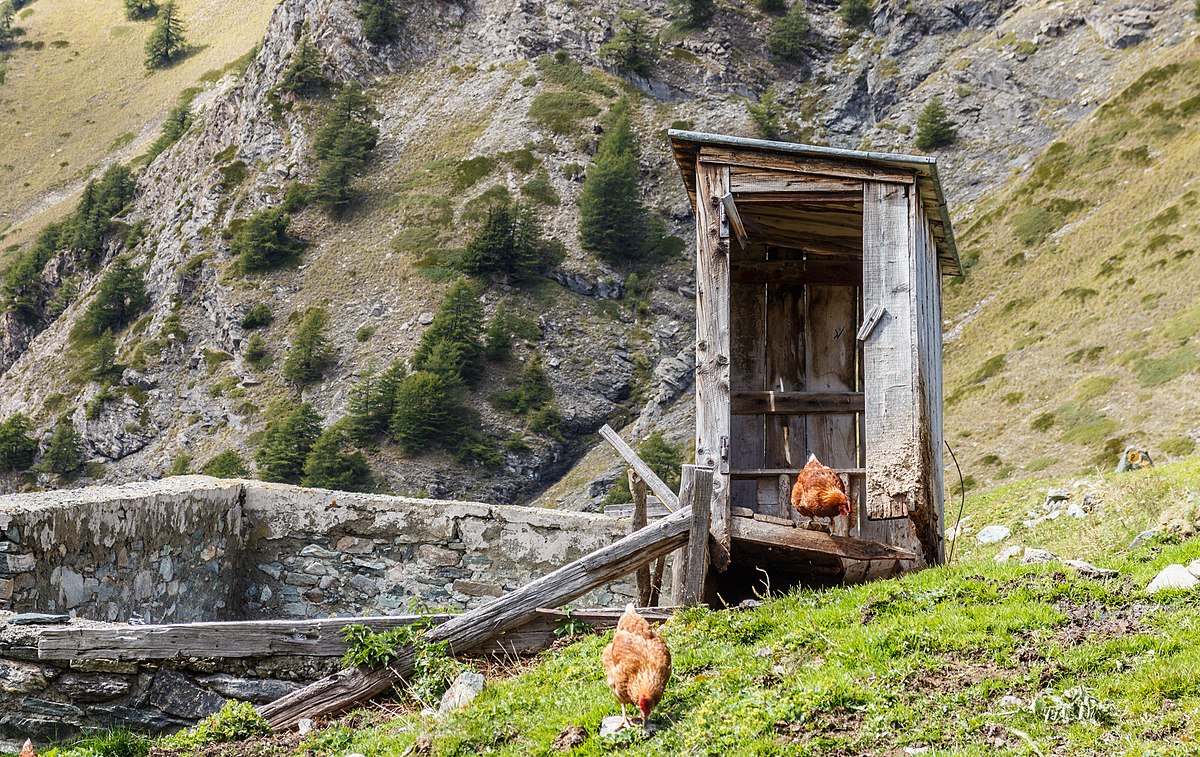 1200px Boerderij Arpisson % m boven Gimillan in Cogne Valley Italië Vervallen schijthuisje toilet boven open gierkelder 01