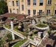 Le Jardin Des Plantes Voglans Inspirant Jardin Rosa Mir Lyon 2020 All You Need to Know before