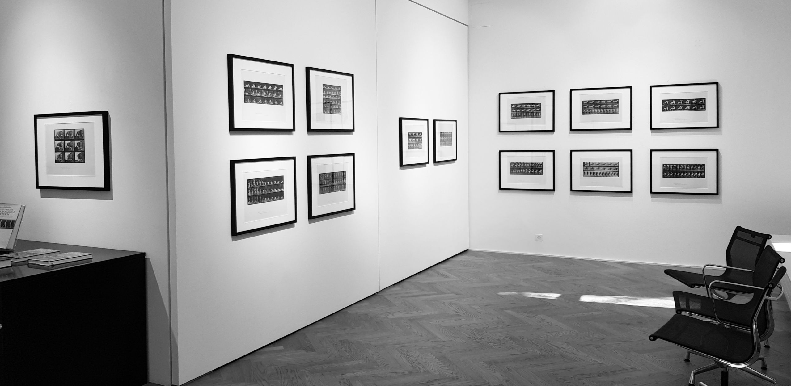 Le Jardin Des Sens Guebwiller Charmant Artef Fine Art Graphy Gallery
