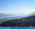 Le Jardin Des Sens Guebwiller Élégant Landscape the Swiss Alps and Lake Zurich From Uetliberg