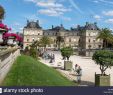 Le Jardin Du Luxembourg Paris Beau Palace Luxembourg Stock S & Palace Luxembourg