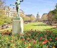 Le Jardin Du Luxembourg Paris Best Of Le Jardin Du Luxembourg by Chrissen