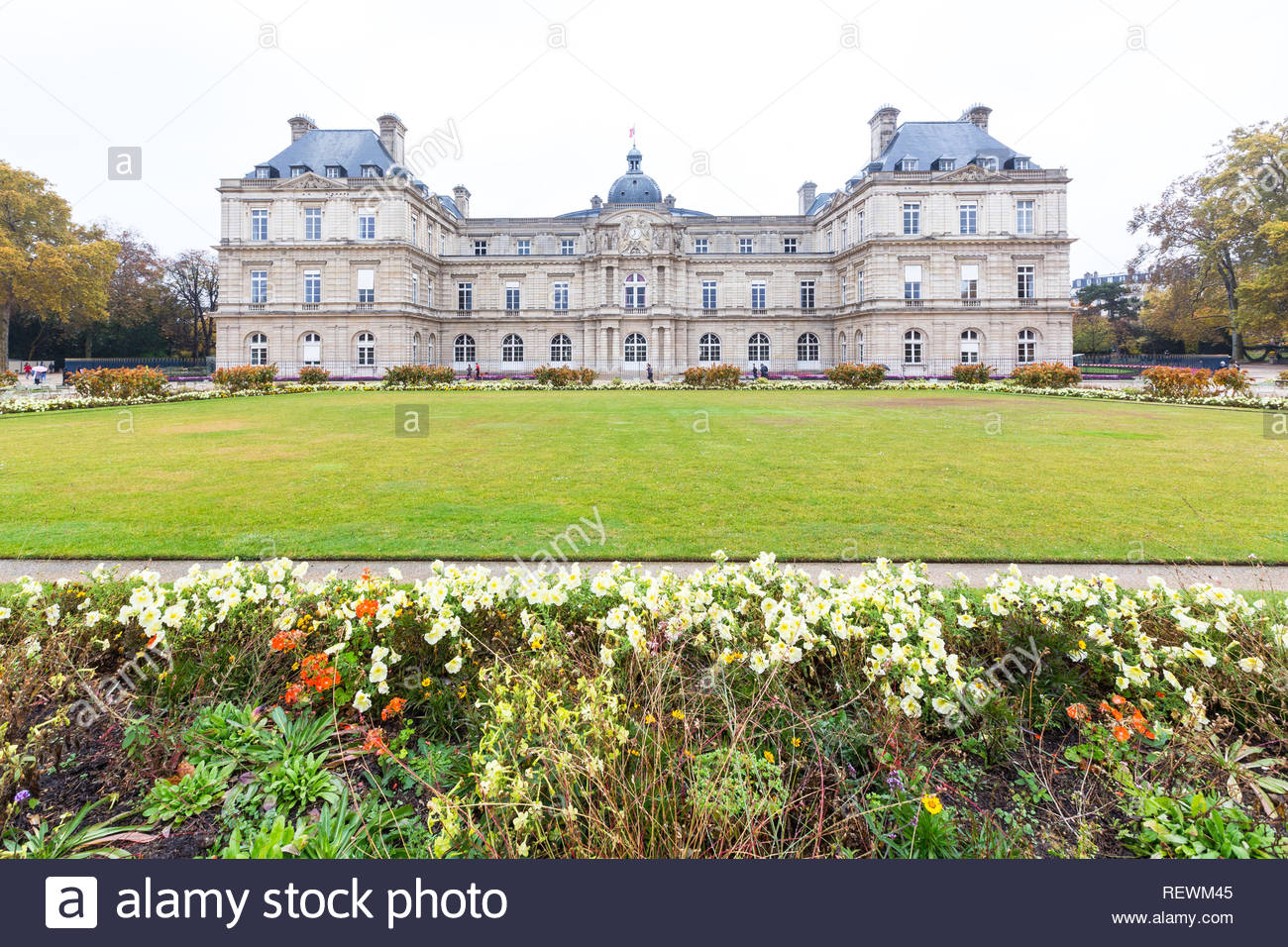 paris france luxembourg palace in luxembourg garden jardin de luxembourg REWM45