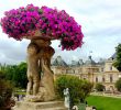 Le Jardin Du Luxembourg Paris Élégant Reserva Jardines De Luxemburgo Par­s En Tripadvisor