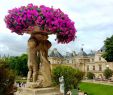 Le Jardin Du Luxembourg Paris Élégant Reserva Jardines De Luxemburgo Par­s En Tripadvisor