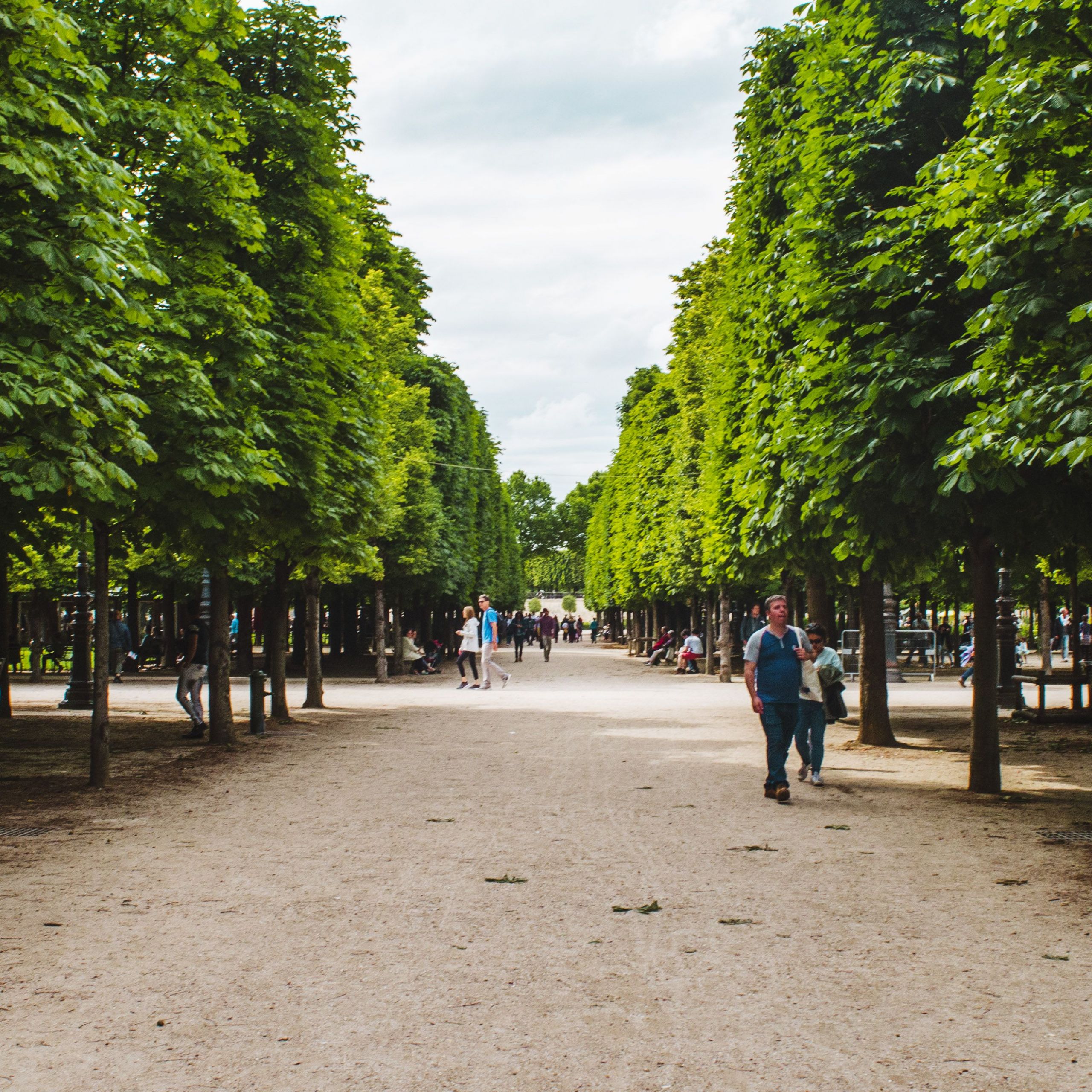 Le Jardin Du Luxembourg Paris Frais the Jardin Des Tuileries In Paris A Royal Gem