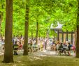 Le Jardin Du Luxembourg Paris Génial Odyssey 2 — Stuart Dee Graphy