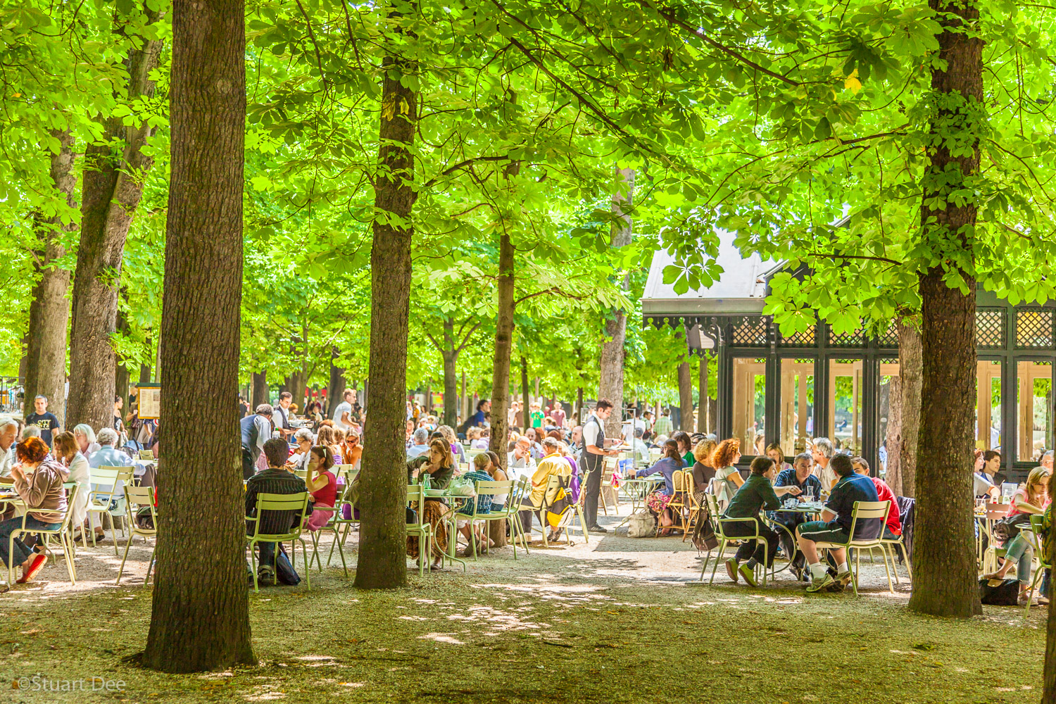 Le Jardin Du Luxembourg Paris Génial Odyssey 2 — Stuart Dee Graphy