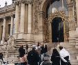 Le Jardin Du Luxembourg Paris Unique Steller Create Beautiful social Media Stories