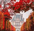 Le Jardin Du Luxembourg Paris Unique Tuileries Garden In Paris