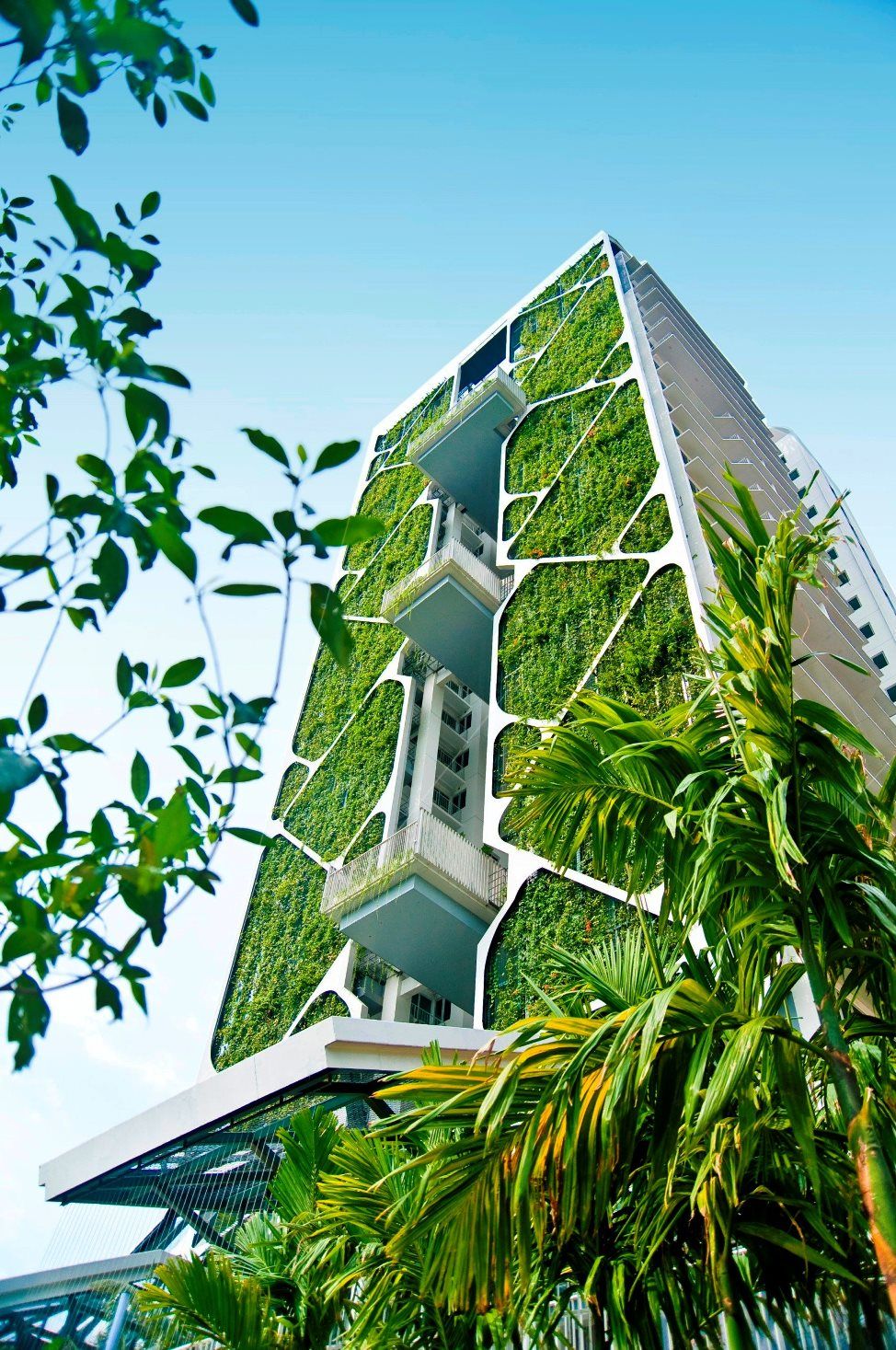 Le Jardin Du Pic Vert Beau World S St Vertical Garden Sets Guinness Record at