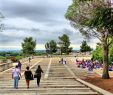 Le Jardin Du Pic Vert Best Of [4k] Avignon Rocher Des Doms the Gardens France Provence Videoturysta