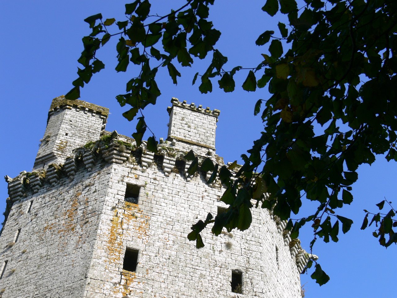 les machicoulis du donjon