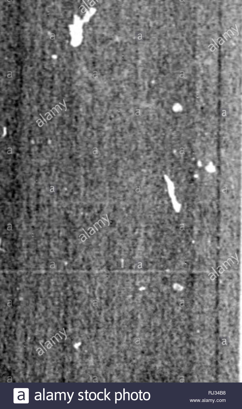 the fishes of north and middle america microform a descriptive catalogue of the species of fish like vertebrates found in the waters of north america north of the isthmus of panama fishes fishes poissons poissons p fe5t7t3rip w quot v tf i quot t rrvi ttquotjv i960 ihilldin 7 united states national afusettm ai x 4 iiig ivont of mtiiil or past doihals not connecti d tlio higlicht hpinuubout i tliu liigbeht hoft doihiil 1 in huud vtnitrala leachiiit to vent cooi light gray covered with many stota forming reticuhitionh o RJ34B8