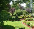 Le Jardin Du Thé Grenoble Nouveau Le Parc D Aurélie   Bastogne