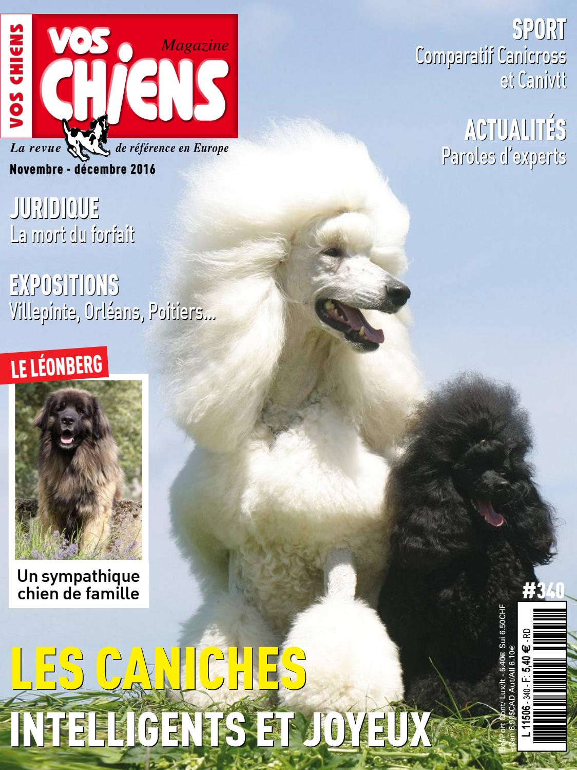 Le Jardin Pekinois Élégant Remember 2016 by Balo Äáº¹p Xinh issuu