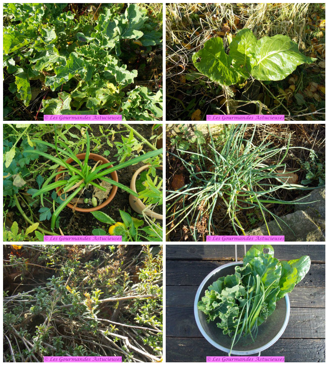 Légumes Du Jardin Charmant soupe Aux 2 Lentilles Vegan