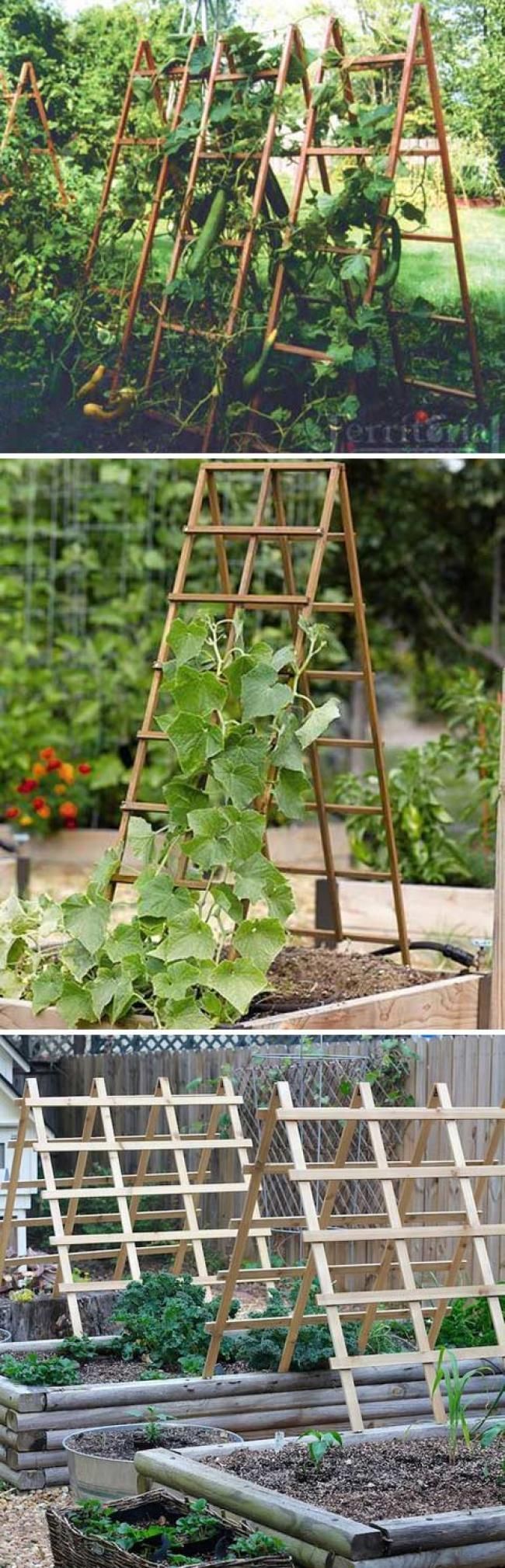 Légumes Du Jardin Élégant 186 Meilleures Images Du Tableau Jardinage En 2020