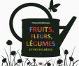Légumes Du Jardin Élégant Fruits Fleurs Légumes Et Petites Bªtes Albums French