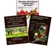 Légumes Du Jardin Génial Méthode Auto Suffisance Du Verger Au Potager 3 E Books Vidéo