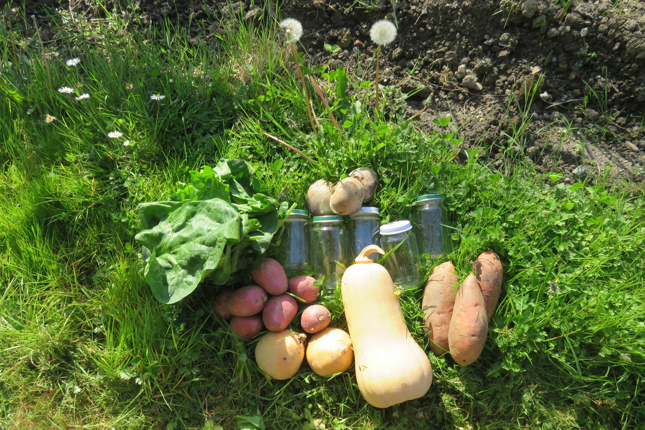 Légumes Du Jardin Génial Miimosa Petits Pots Pour Bébés Bios Locaux Et Artisanaux