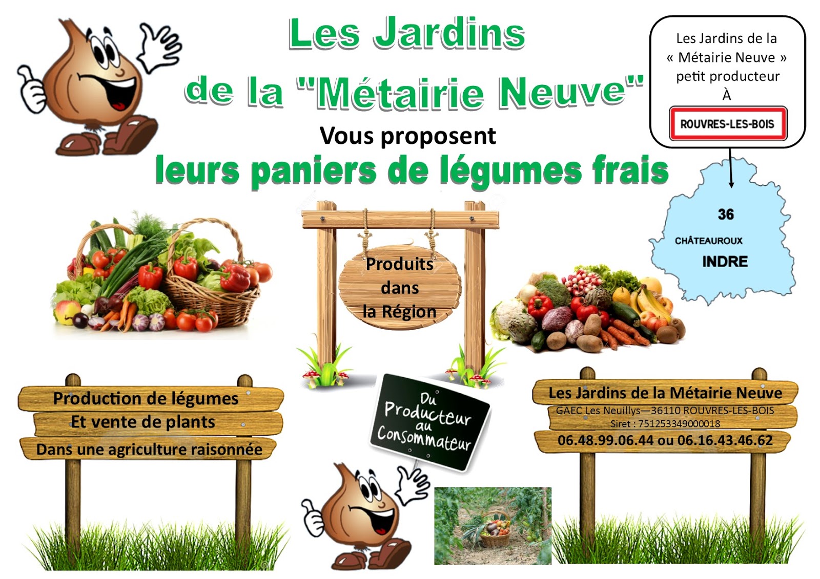 vente de panier de légumes