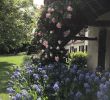 Les Jardin De sologne Beau Le Clos Du Cerf B&b Reviews Cellettes France Tripadvisor