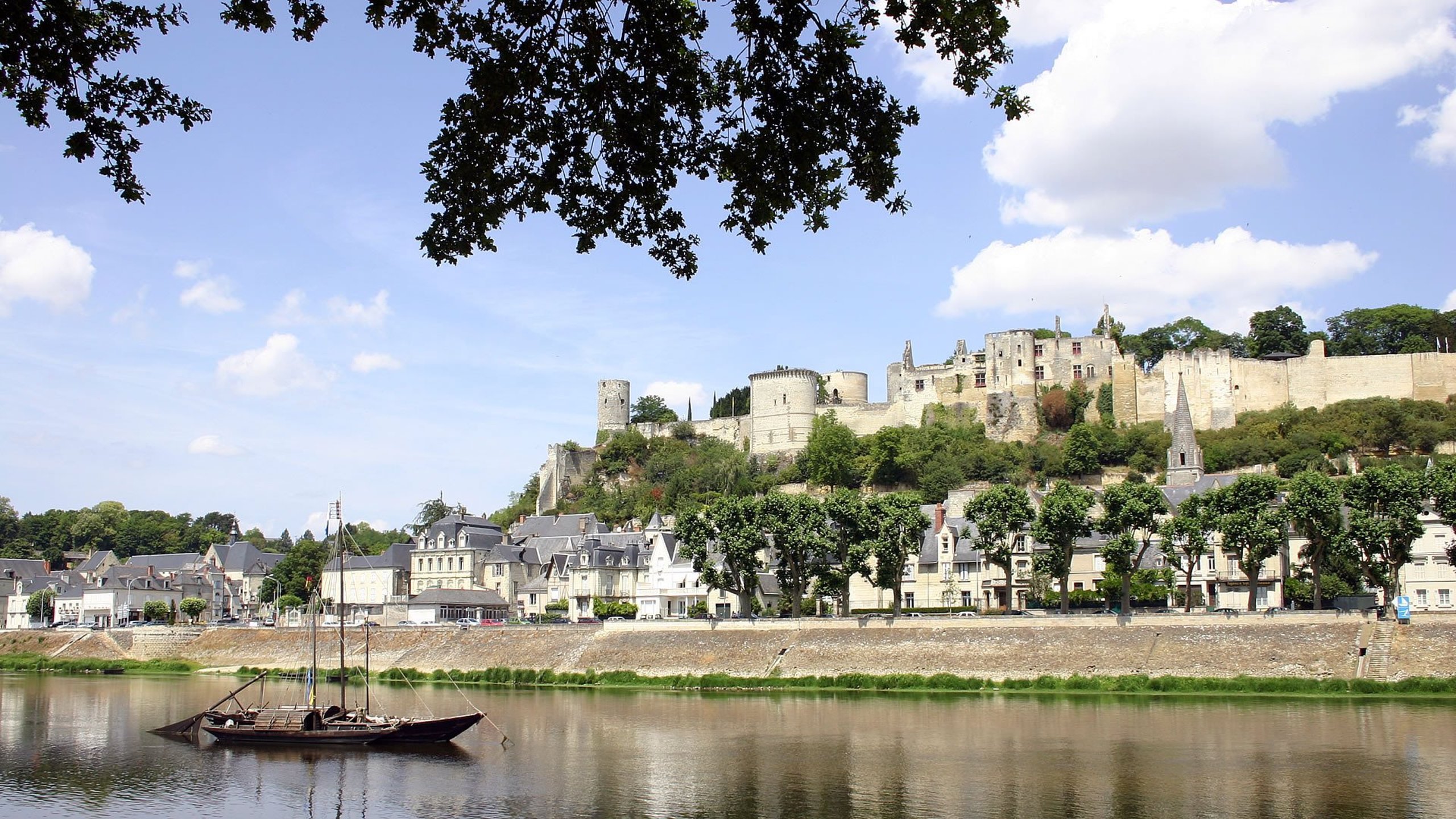 chinon