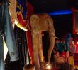 Les Jardin De sologne Charmant Musee Du Cirque Et De L Illusion Dampierre En Burly 2020