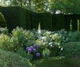 Les Jardin De sologne Inspirant 55 Best Louis Benech Images