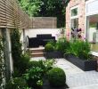 Les Jardin De sologne Unique 20 Chic Small Courtyard Garden Design Ideas for You