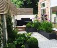 Les Jardin De sologne Unique 20 Chic Small Courtyard Garden Design Ideas for You