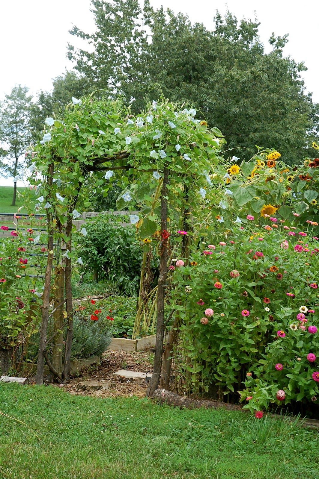 Les Jardin De sologne Unique 200 Best Gardens Images In 2020