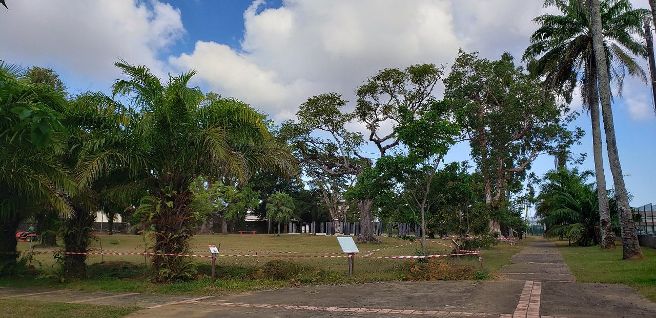 Logo Jardin Beau Jardin Botanique Cayenne 2020 All You Need to Know