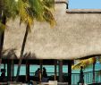Louer son Jardin Élégant Royal Palm Hotel Mauritius island Avec Images