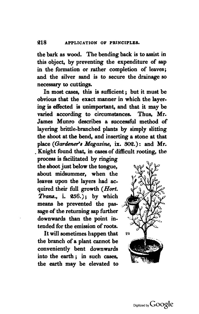 Magazine De Jardinage Charmant Lindley John 1840 the theory Of Horticulture or An