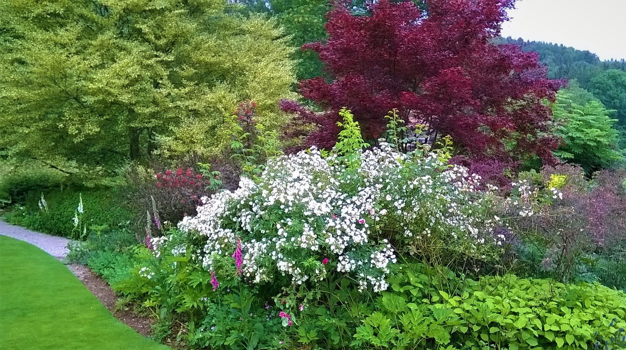 Magazine De Jardinage Élégant Jardin De Berchigranges Granges Sur Vologne 2020 All You
