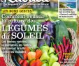 Magazine De Jardinage Élégant Rustica 05 Avril 2019 Avaxhome