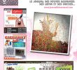 Magazine De Jardinage Luxe Calaméo Journal Le tournesol Février 2017
