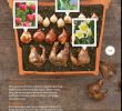 Magazine De Jardinage Luxe Plant Bulbs In Fall Blooms In Spring Bhg Magazine Oct