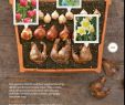 Magazine De Jardinage Luxe Plant Bulbs In Fall Blooms In Spring Bhg Magazine Oct