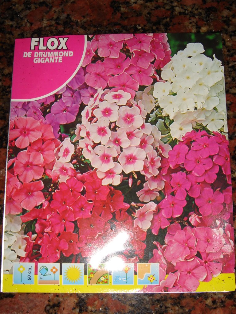 Magazine De Jardinage Nouveau Casa Do Lago Dianthus Caryophyllus E Phlox Drummondii